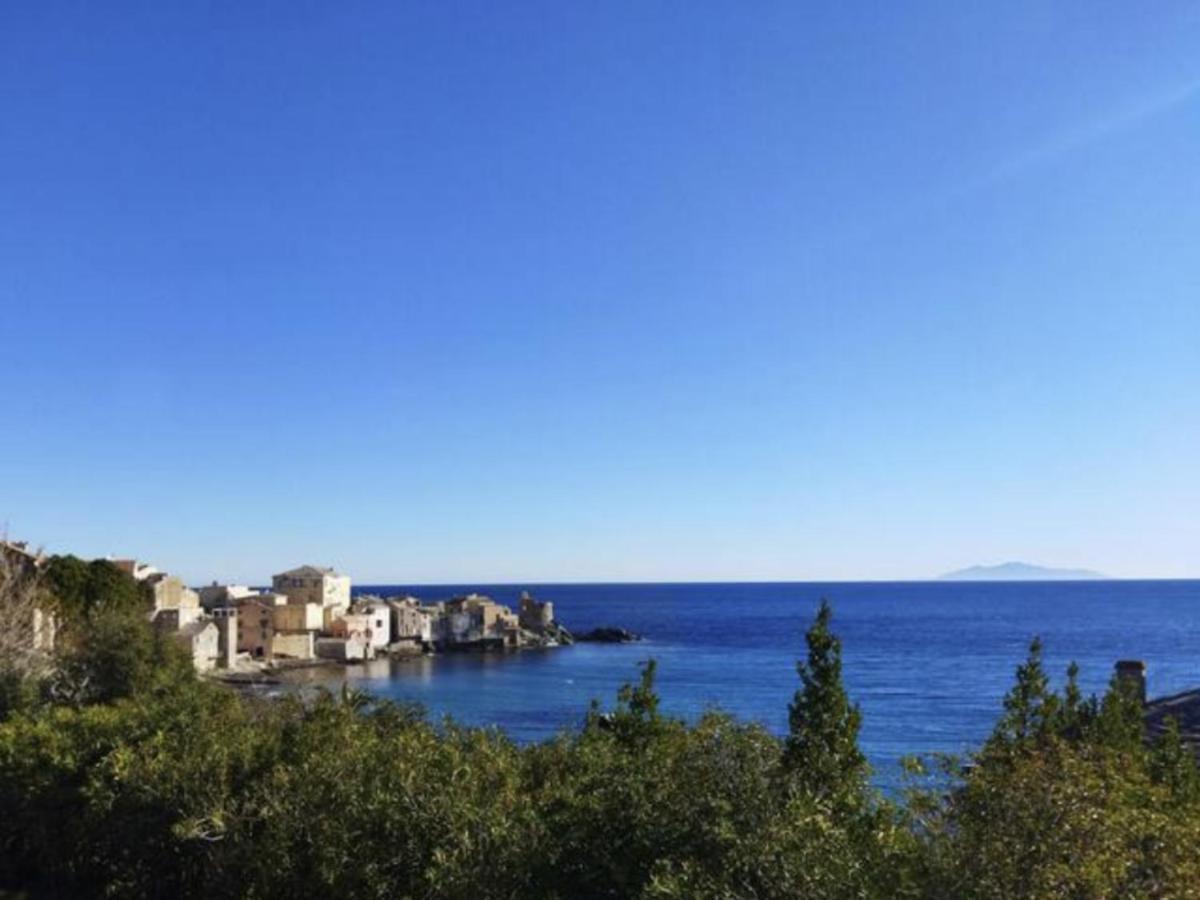 Beau T2 Au Calme A Deux Pas Du Port D'Erbalunga Apartment Erbalunga  Luaran gambar